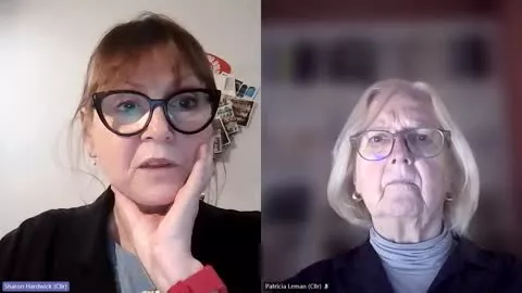 Licensing Panel A poster