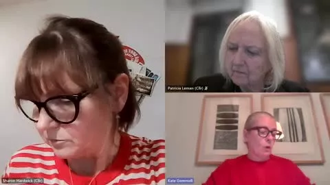 Licensing Panel A poster