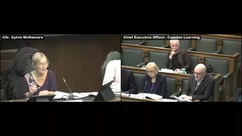 Children, Schools and Families Scrutiny Committee poster