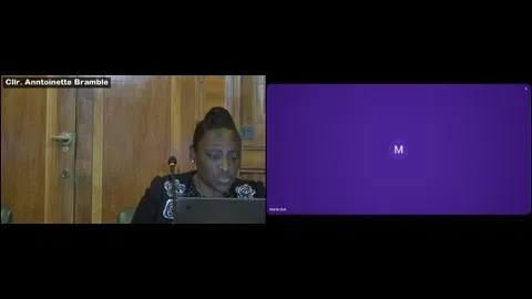 Constitution Committee poster