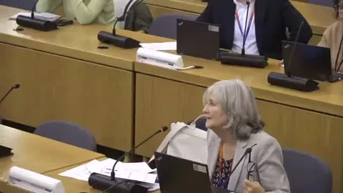 Health and Adult Social Care Scrutiny Board poster