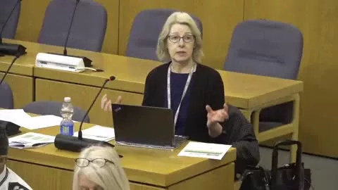 Children's Services and Education Scrutiny Board poster