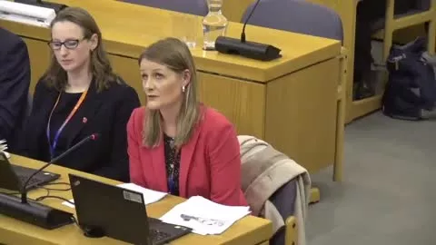 Budget and Corporate Scrutiny Management Board poster