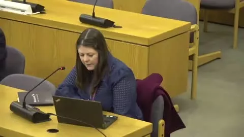 Budget and Corporate Scrutiny Management Board poster