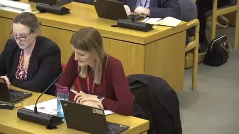 Budget and Corporate Scrutiny Management Board poster