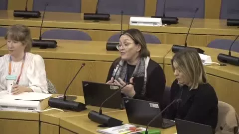 Children's Services and Education Scrutiny Board poster